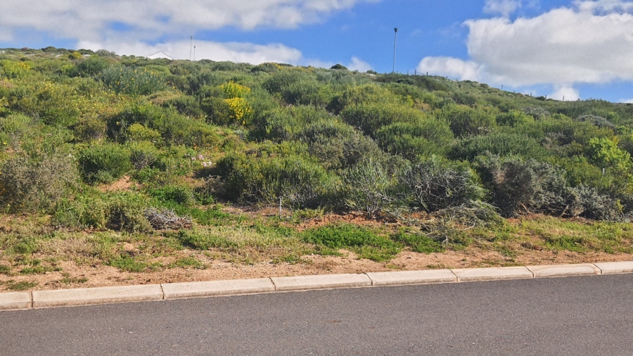 Commercial Property for Sale in St Helena Views Western Cape